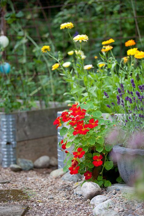 Sommerblomster
