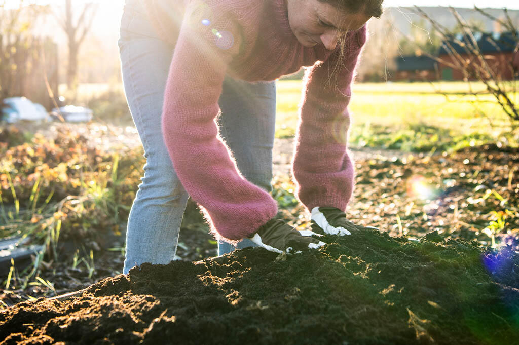 Nelson_Garden_What's Your Soil Type _Image 3.jpg