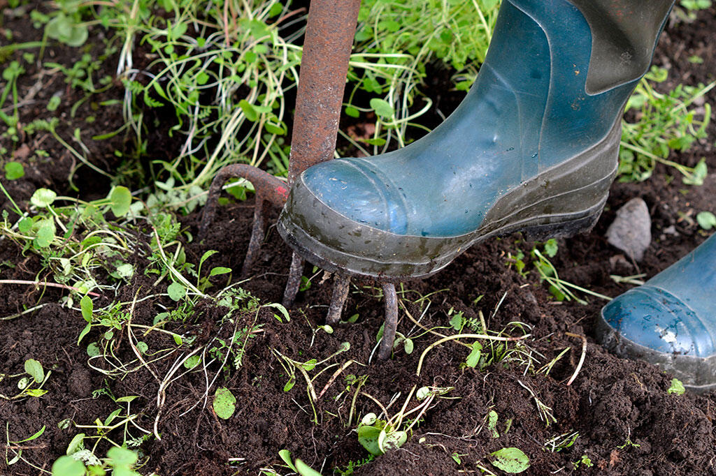 nelson_garden_blog_post_why_gardening_is_good_for_your_health_2.jpeg