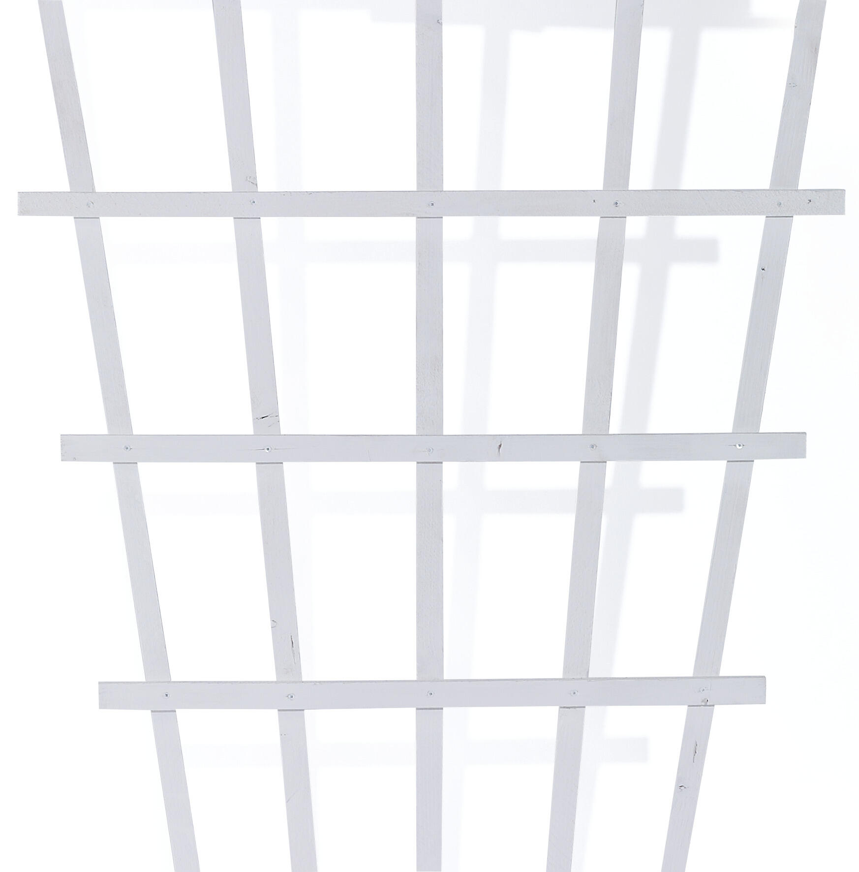 Espalier træ, hvid solfjeder 80x175cm Hvidt espalier