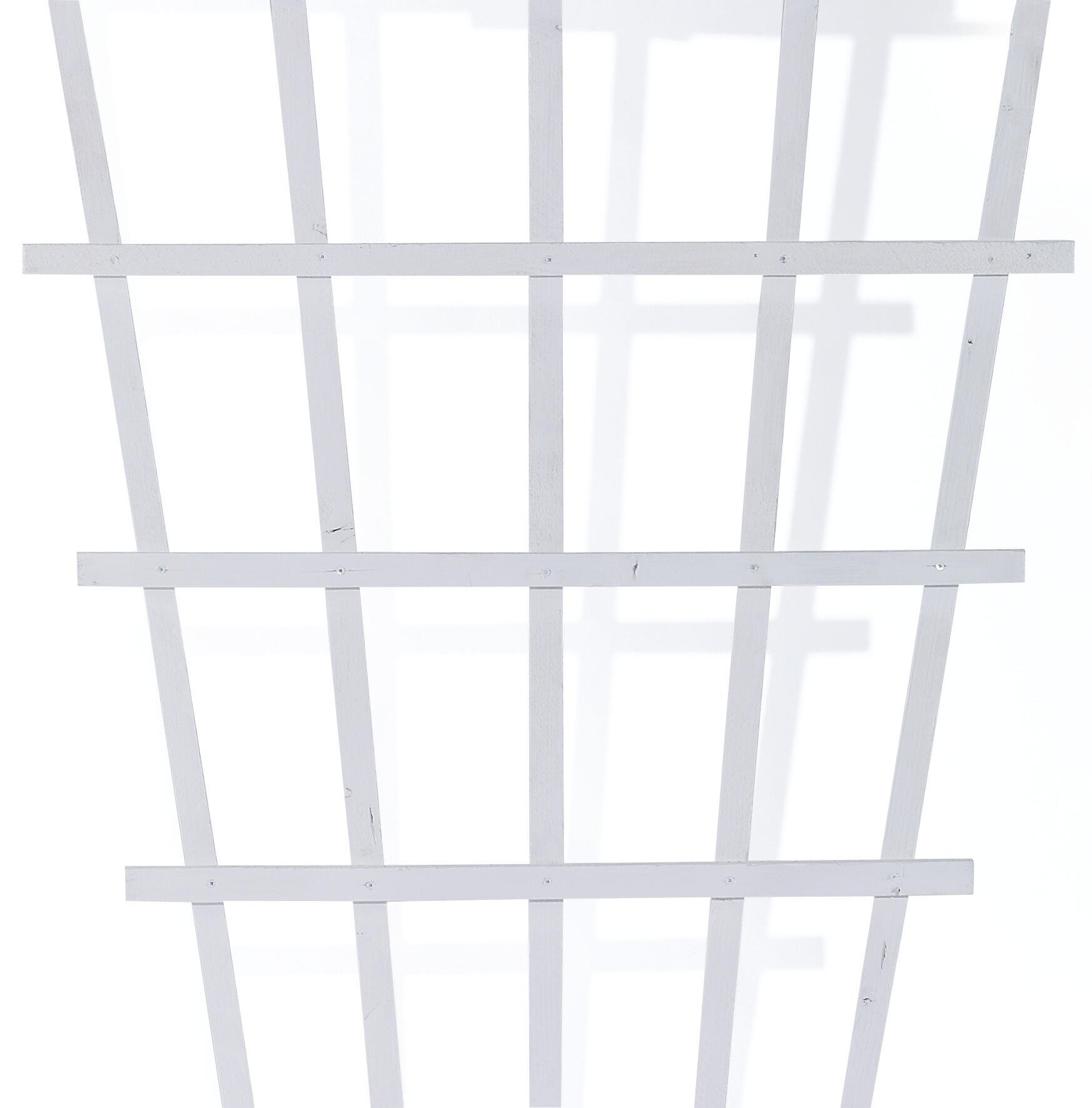 Espalier træ, hvid solfjeder 80x175cm Hvidt espalier
