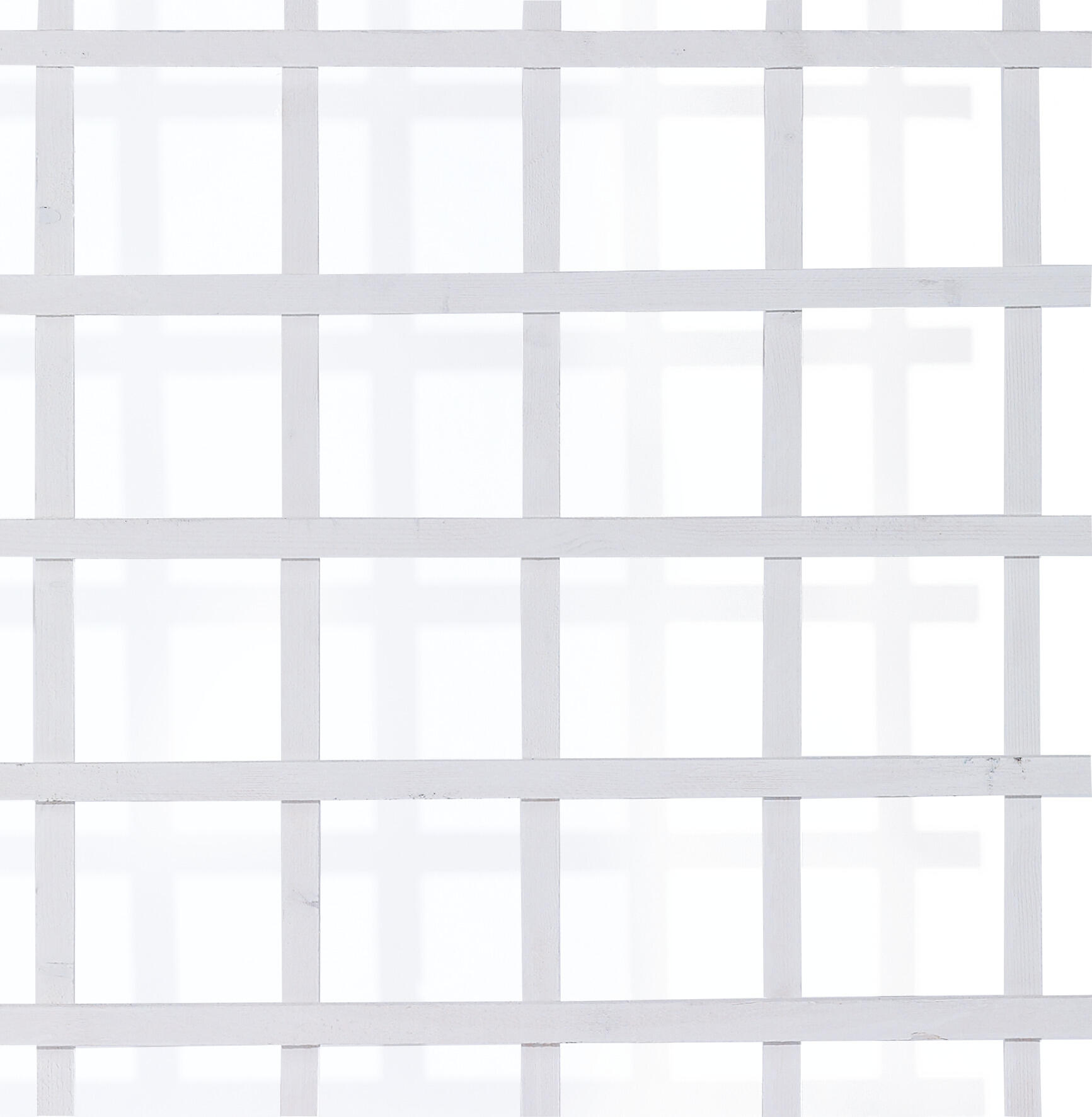 Espalier træ, hvid rektangulær 75x170 cm Hvidt espalier