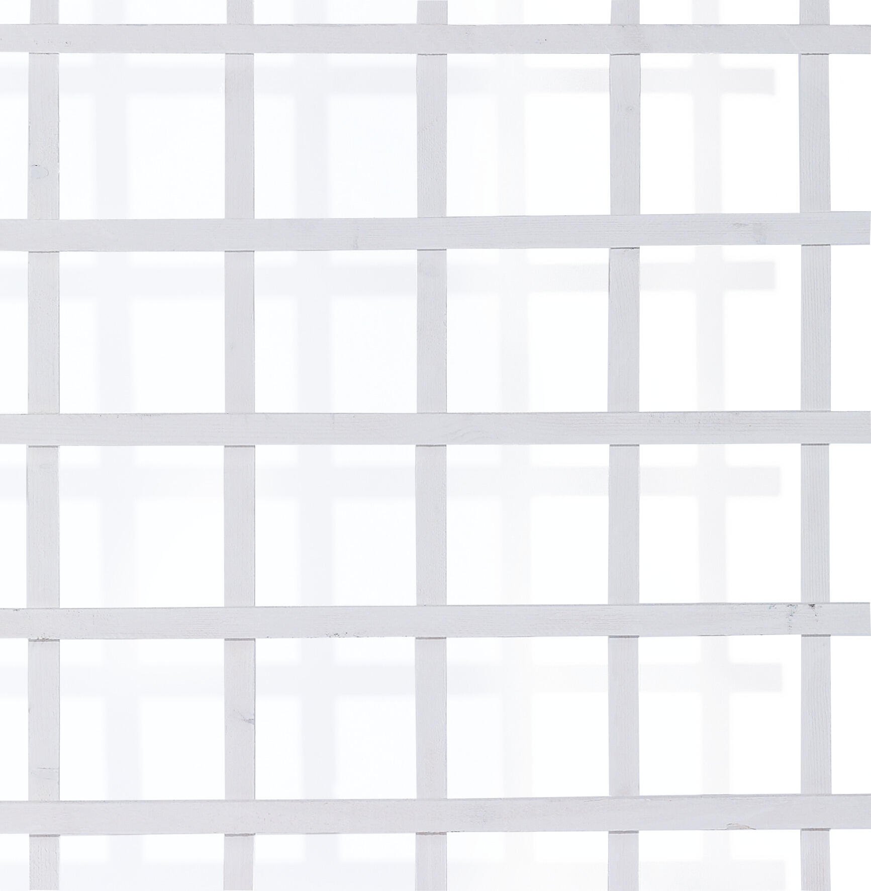 Espalier træ, hvid rektangulær 75x170 cm Hvidt espalier